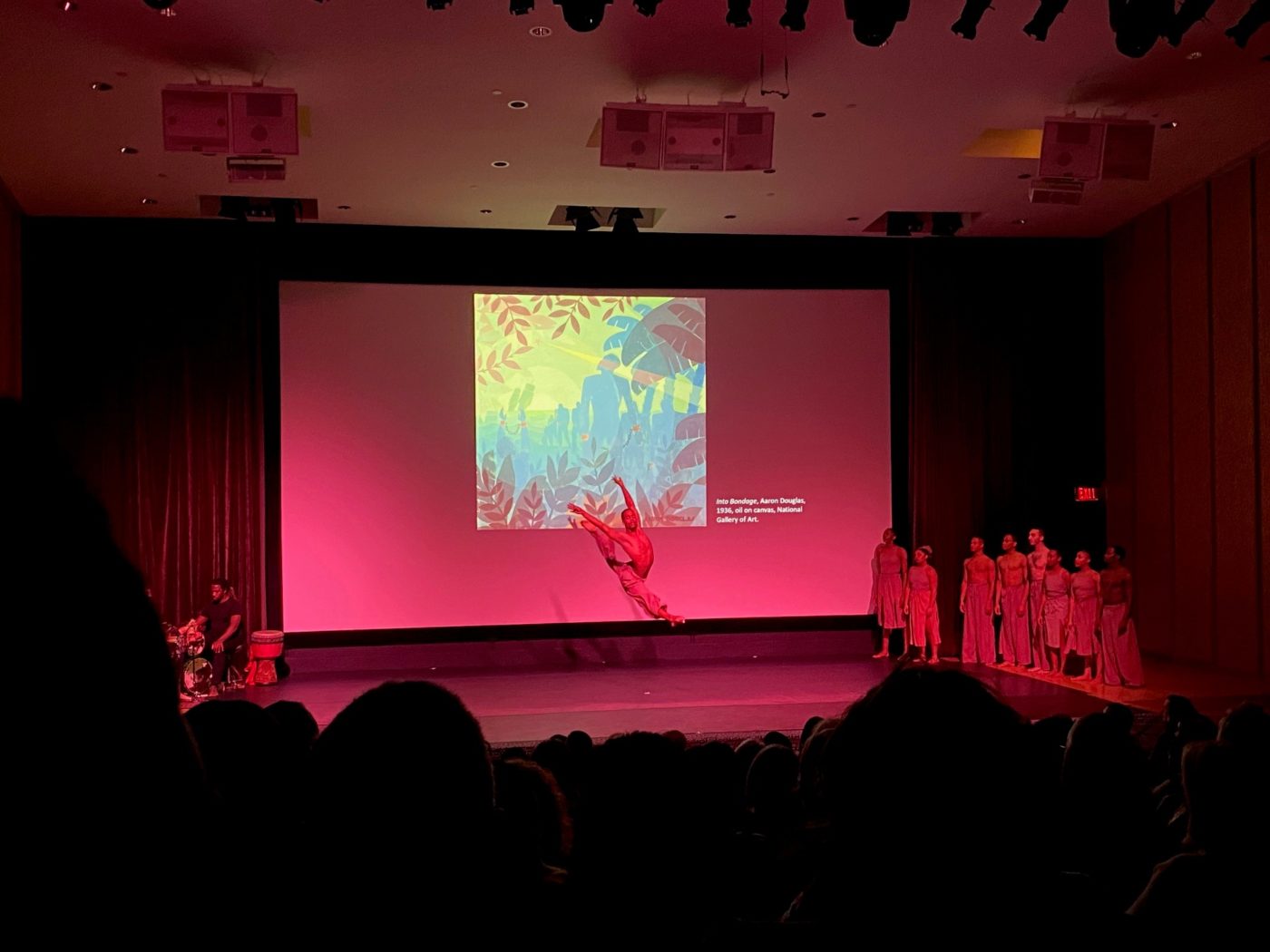 Dallas Black Dance Theatre & DMA - Photo  by Jenny Thompson